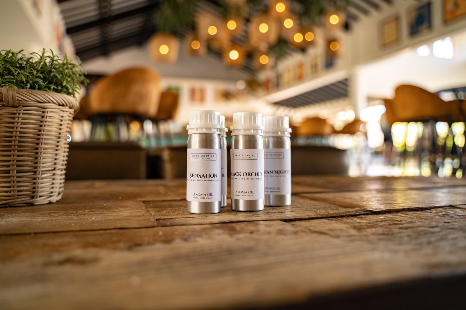 🍂 Autumn Aromas: Transform Your Space with Cozy Seasonal Scents