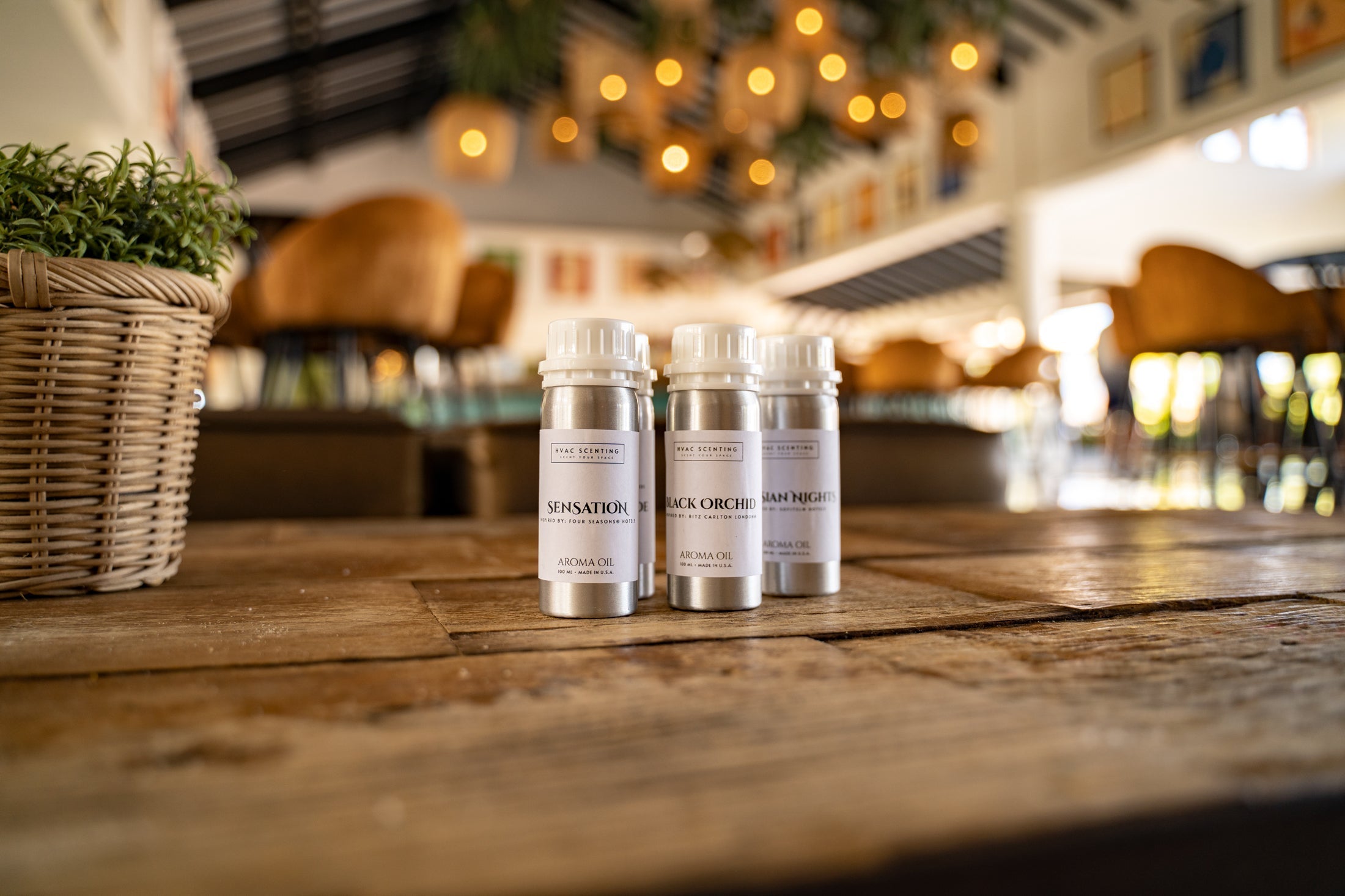 🍂 Autumn Aromas: Transform Your Space with Cozy Seasonal Scents