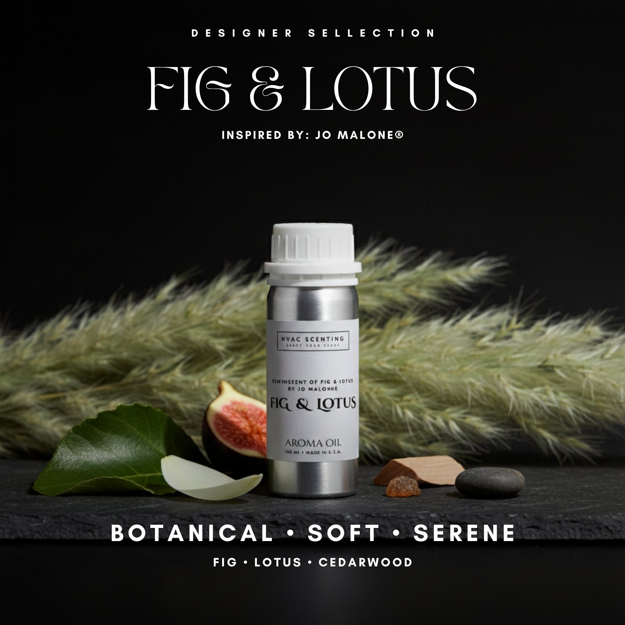 Fig &amp; Lotus