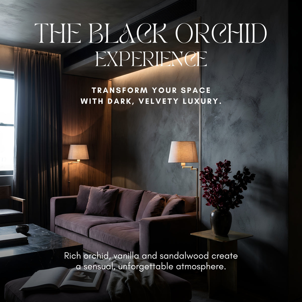 Black Orchid