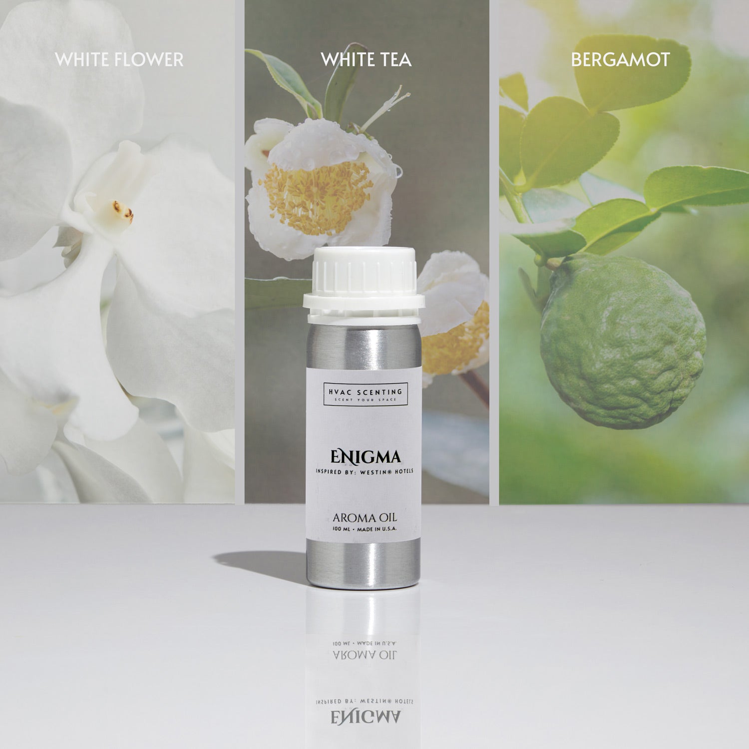 Enigma fragrance oil for diffuser, inspired by the signature fragrance of Westin Hotels.

