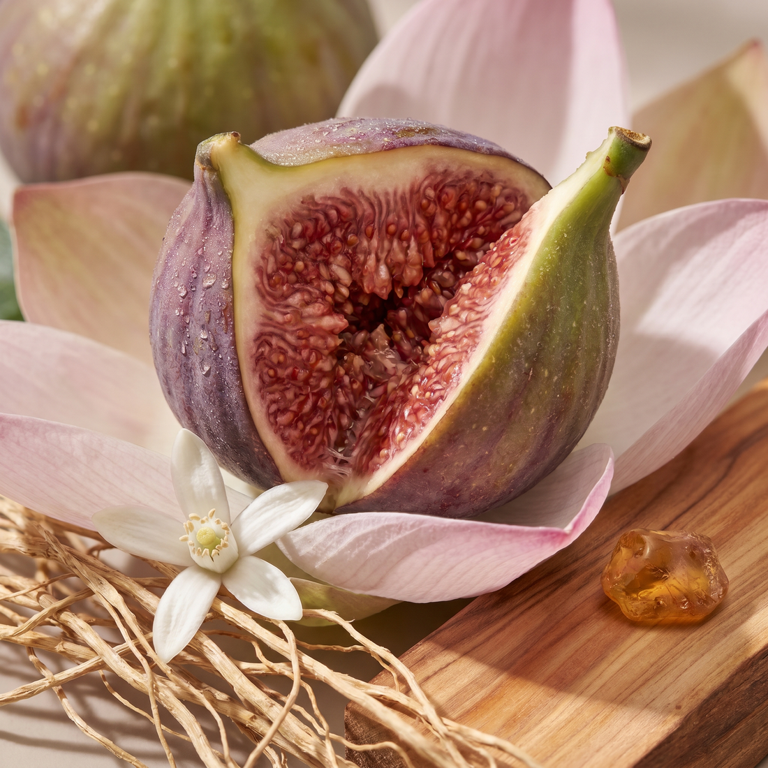 Fig &amp; Lotus
