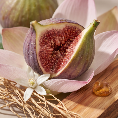 Fig &amp; Lotus